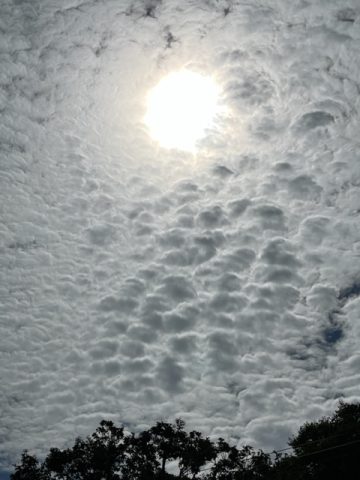 雲